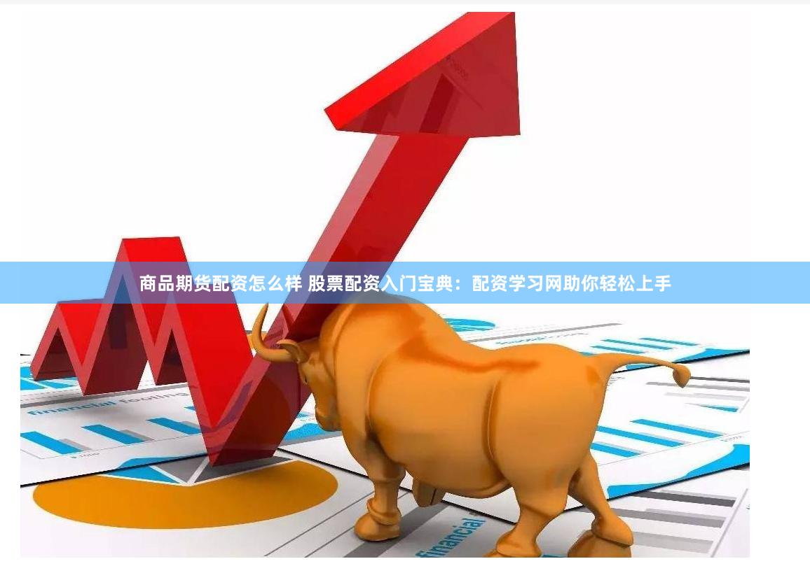 商品期货配资怎么样 股票配资入门宝典：配资学习网助你轻松上手