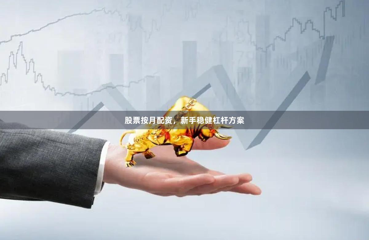 股票按月配资，新手稳健杠杆方案