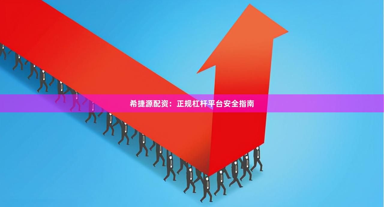 希捷源配资：正规杠杆平台安全指南